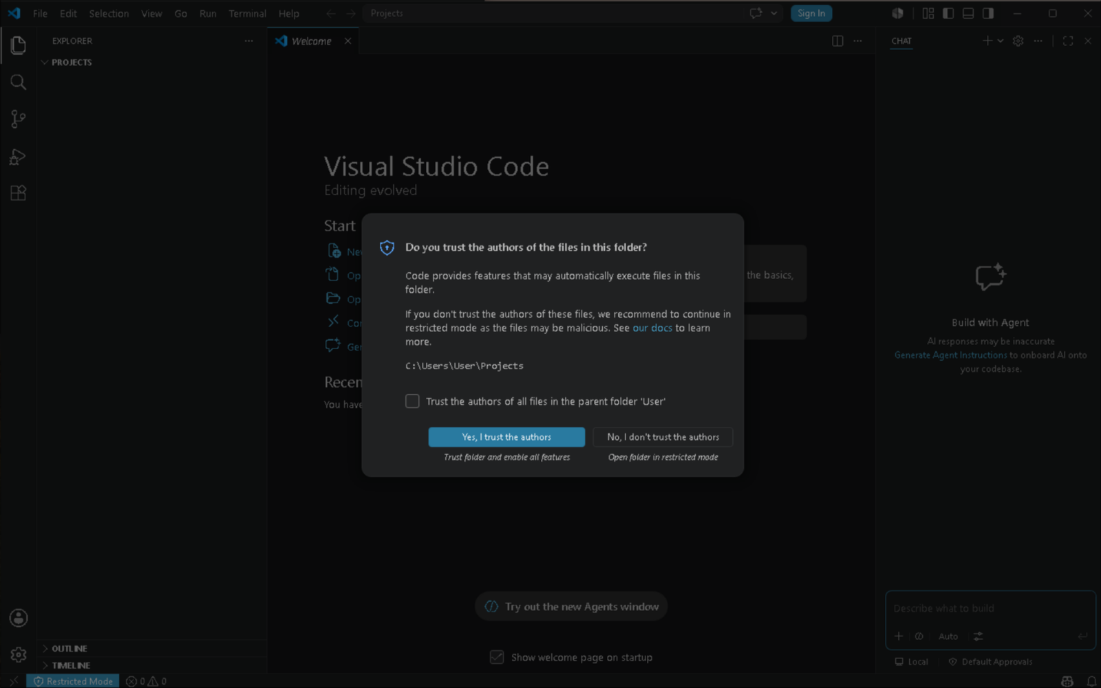 The VS Code 'Do you trust the authors of the files in this folder?' dialog